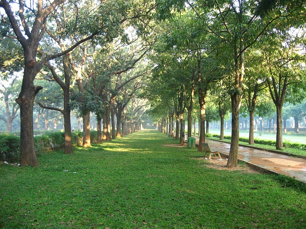 Cubbon Park, Bangalore