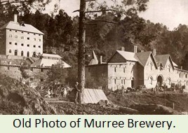 Murree Brewery