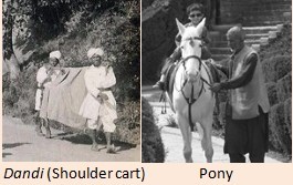Shoulder and pony carts
